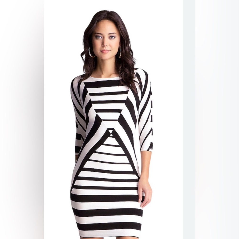 NWT Diamond Striped Bebe Dress. Please note my dress is different colors.